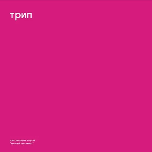 VLADIMIR DUBYSHKIN / ウラジミール・ダヴシュキン / CHEERFUL PESSIMIST