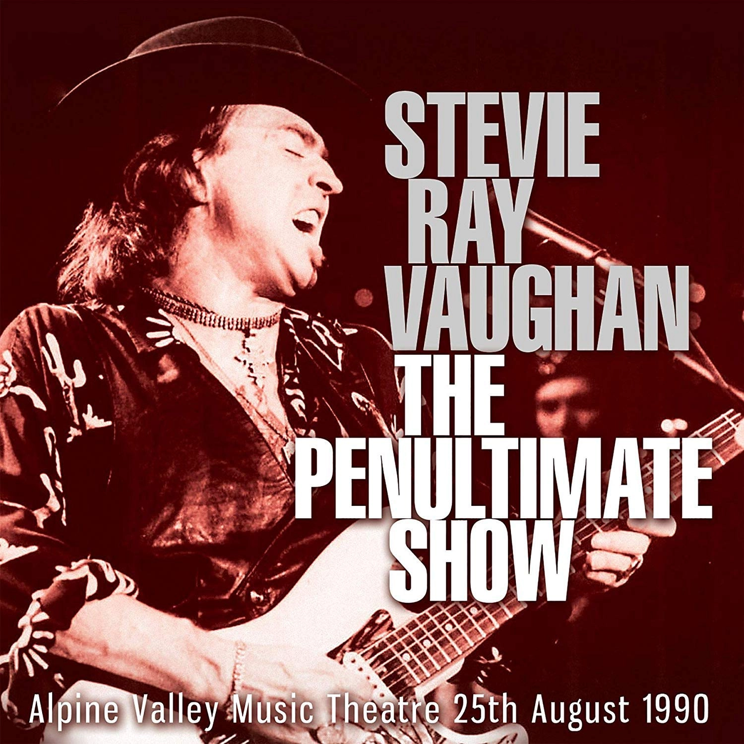 STEVIE RAY VAUGHAN / スティーヴィー・レイ・ヴォーン / THE PENULTIMATE SHOW