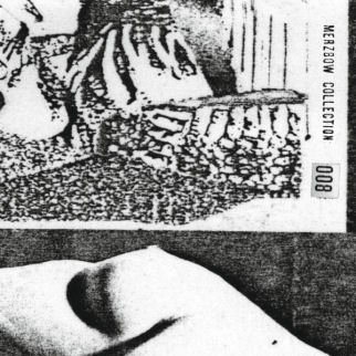MERZBOW / メルツバウ / COLLECTION : 008