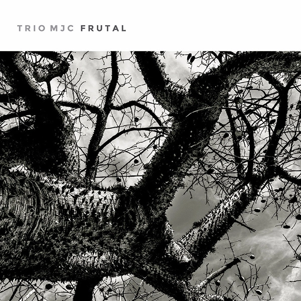 TRIO MJC / FRUTAL