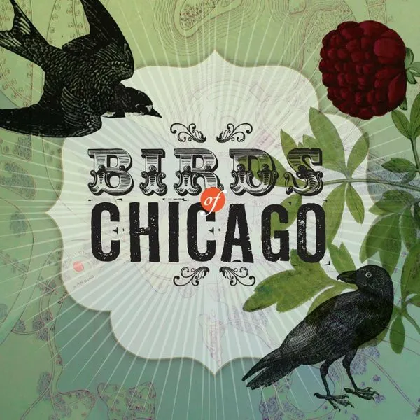 BIRDS OF CHICAGO / バーズ・オブ・シカゴ / BIRDS OF CHICAGO