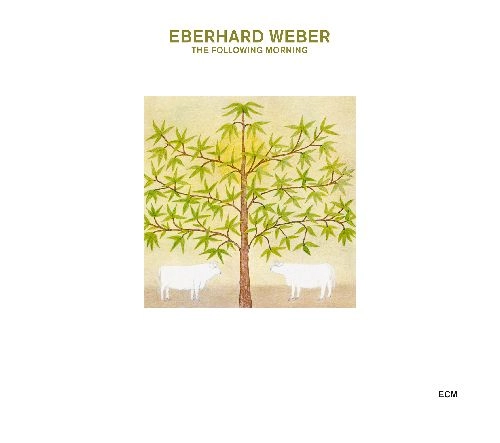 EBERHARD WEBER / エバーハルト・ウェーバー / FOLLOWING MORNING