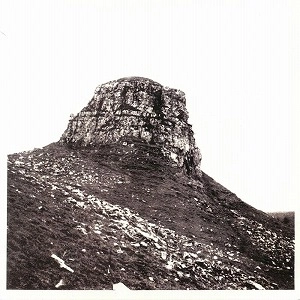 NOCTURNAL EMISSIONS / ノクターナル・エミッションズ / SPIRITFLESH