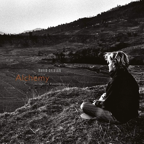 DAVID SYLVIAN / デヴィッド・シルヴィアン / ALCHEMY: AN INDEX OF POSSIBILITIES (LP/180G)