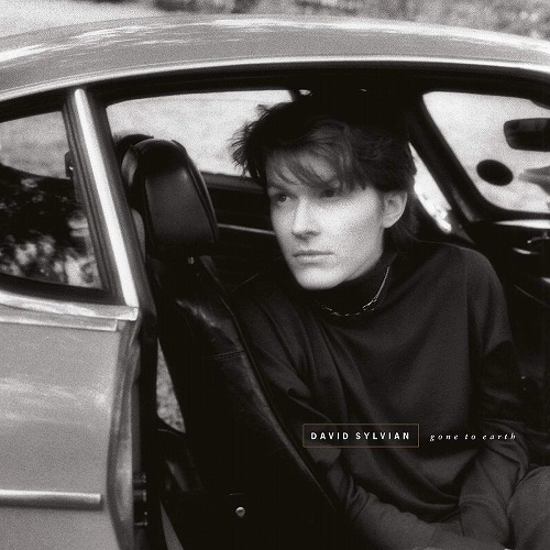 DAVID SYLVIAN / デヴィッド・シルヴィアン / GONE TO EARTH (2LP/180G)