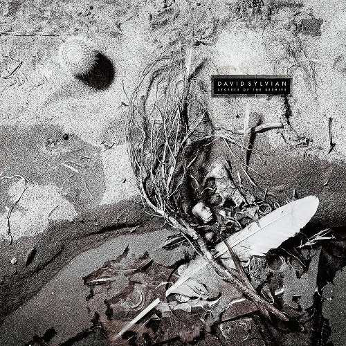 DAVID SYLVIAN / デヴィッド・シルヴィアン / SECRETS OF THE BEEHIVE (LP/180G)