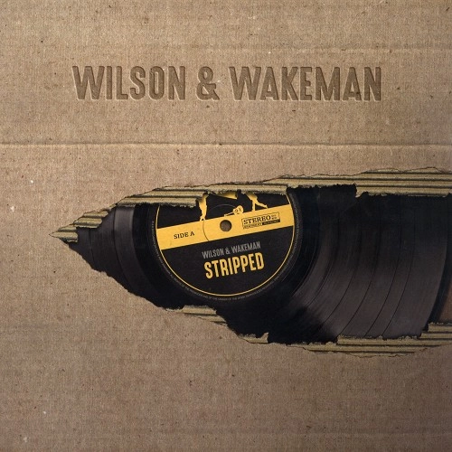 DAMIAN WILSON & ADAM WAKEMAN / DAMIAN WILSON/ADAM WAKEMAN / STRIPPED: LIMITED VINYL