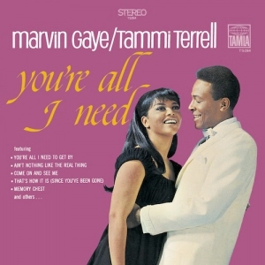 MARVIN GAYE & TAMMI TERRELL / マーヴィン・ゲイ&タミー・テレル / ユアー・オール・アイ・ニード