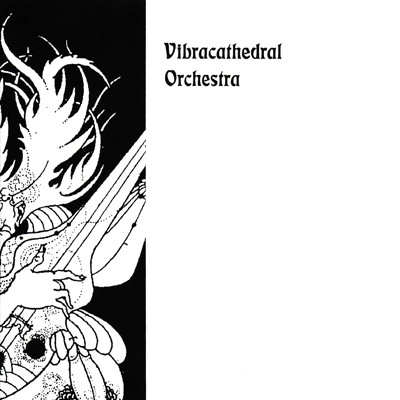 VIBRACATHEDRAL ORCHESTRA / RIDING FREE