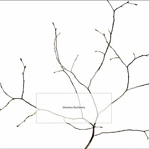 K. LEIMER / ケリー・レイマー / USELESS EPITOMES