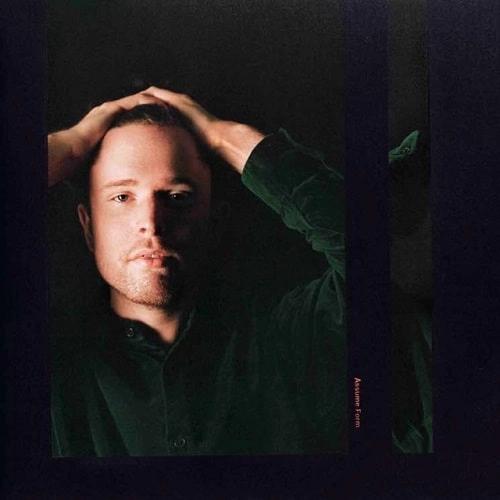 JAMES BLAKE / ジェイムス・ブレイク / ASSUME FORM