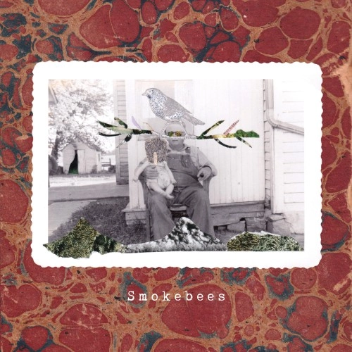 Smokebees / Imaginary Lights Never Fade