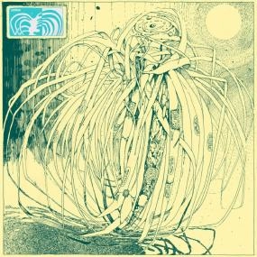 LO KINDRE / CHLOROPHYTUM