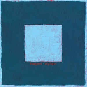 PINEGROVE / パイングローヴ / SKYLIGHT (DELUXE EDITION) (2LP/CLEAR VINYL)