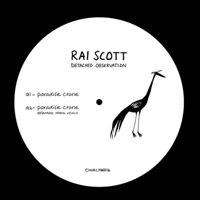 RAI SCOTT / DETACHED OBSERVATION