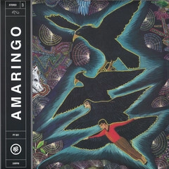 AMARINGO / AMARINGO