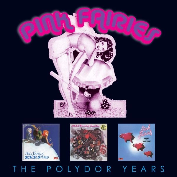 PINK FAIRIES / ピンク・フェアリーズ / THE POLYDOR COLLECTION