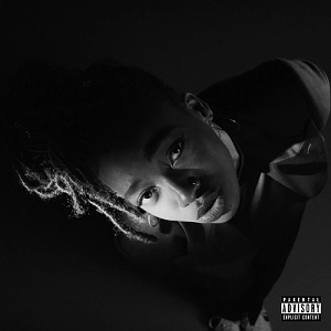 LITTLE SIMZ / リトル・シムズ / GREY AREA