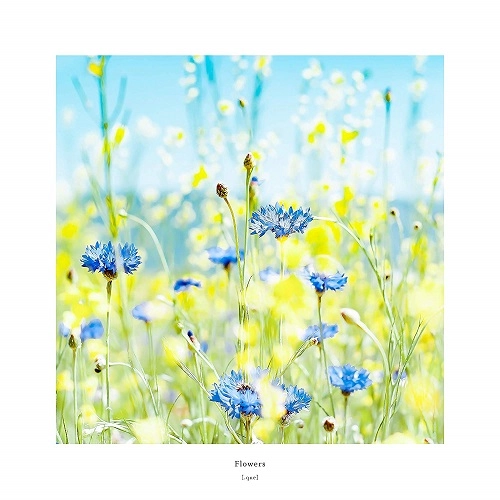 [.que] / Flowers