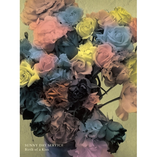 Sunny Day Service / サニーデイ･サービス / BIRTH OF A KISS（DVD）