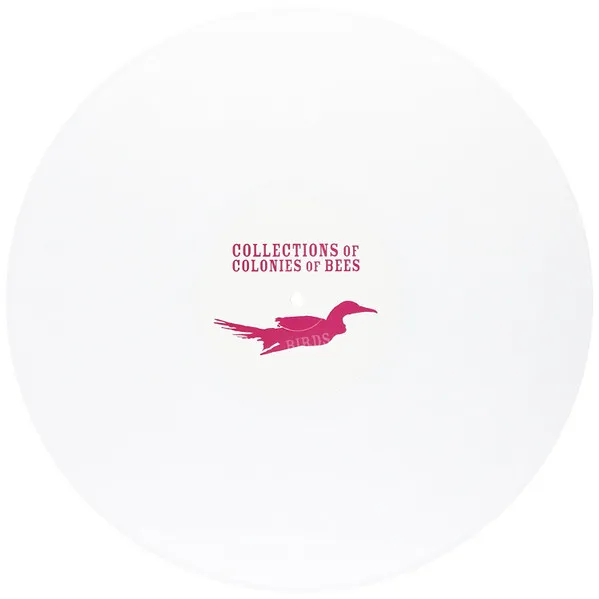 COLLECTIONS OF COLONIES OF BEES / BIRDS