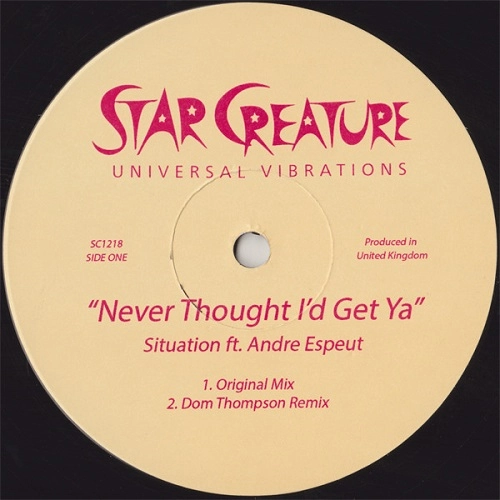 SITUATION Feat, ANDRE ESPEUT / NEVER THOUGHT I'D GET YA / NEVER THOUGHT I'D GET YA 