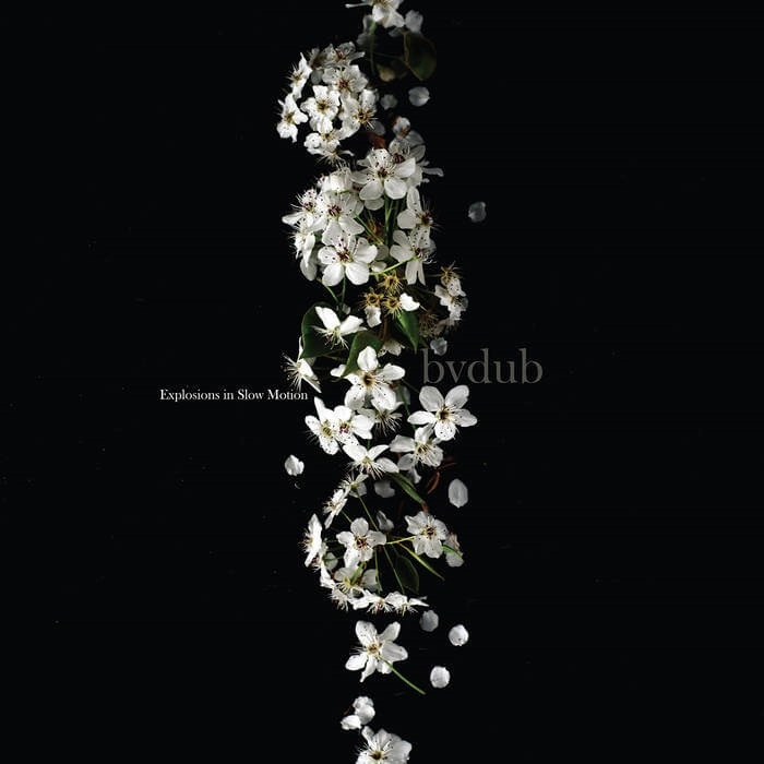 bvdub / ビーブイダブ / EXPOLOSIONS IN SLOW MOTION