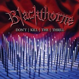 BLACKTHORN / ブラックソーン / ドント･キル･ザ･スリル