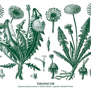 WALTER MAIOLI & NIRODH FORTINI / TARAXACUM (LP)