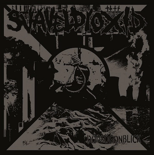 SVAVELDIOXID / DODSOGONBLICK (LP)