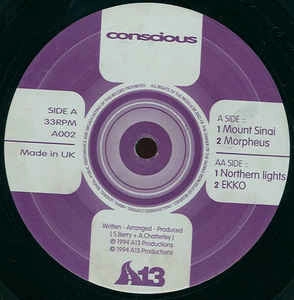 CONSCIOUS / MOUNT SINAI / NORTHERN LIGHTS