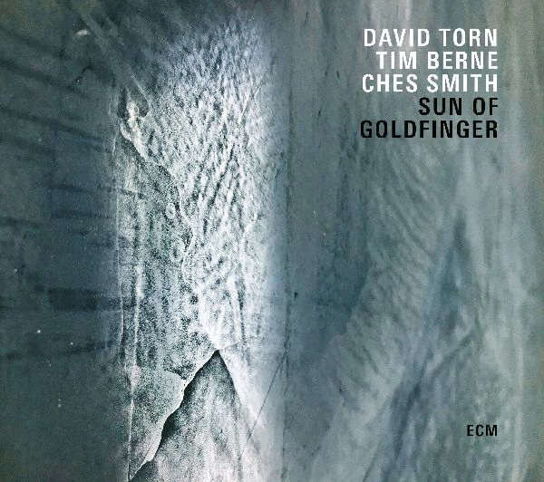 DAVID TORN / デイヴィッド・トーン / SUN OF GOLDFINGER