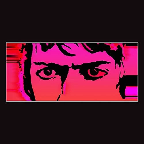 DELICATE STEVE / デリケート・スティーヴ / TILL I BURN UP (LP)