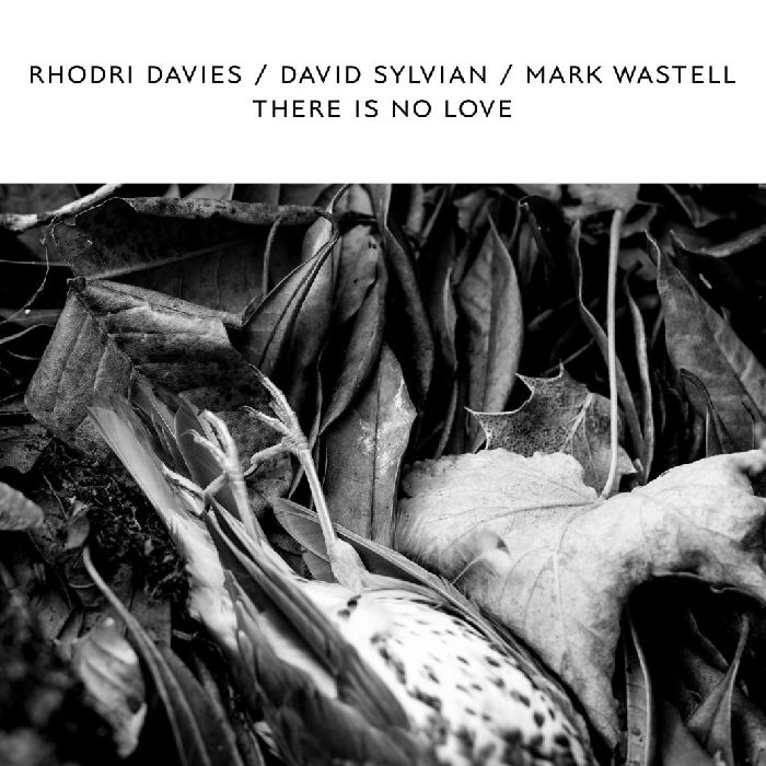RHODRI DAVIES / DAVID SYLVIAN / MARK WASTELL / THERE IS NO LOVE [LP]
