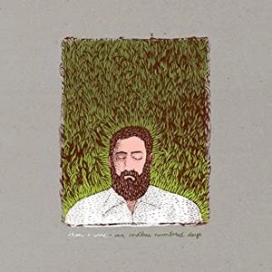IRON & WINE / アイアン・アンド・ワイン / OUR ENLESS NUMBERED DAYS (DELUXE EDITION) (2LP)