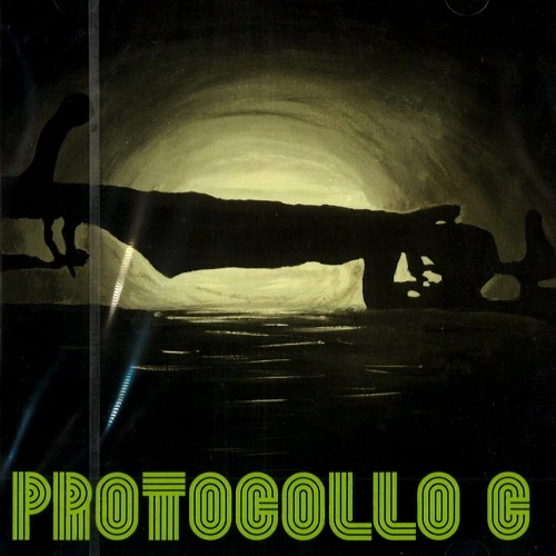 PROTOCOLLO C / PROTOCOLLO C