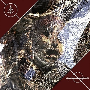 AM NOT / THE DEVELOPING WORLD (CD)