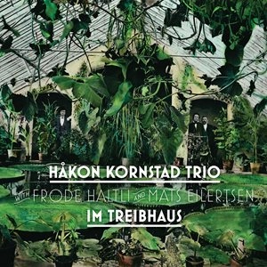 HAKON KORNSTAD / IM TREIBHAUS