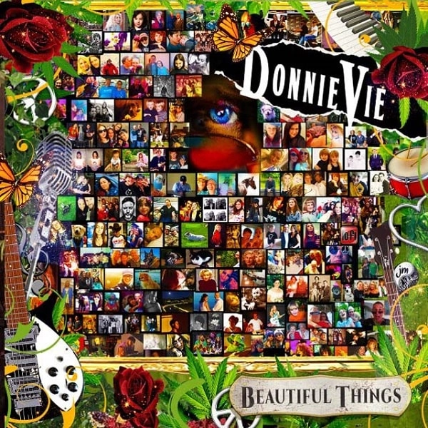 DONNIE VIE / ドニー・ヴィー / ビューティフル・シングス / BEAUTIFUL THINGS