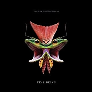 MASSIMO PUPILLO / TIME BEING