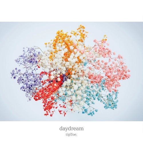 tipToe. / daydream