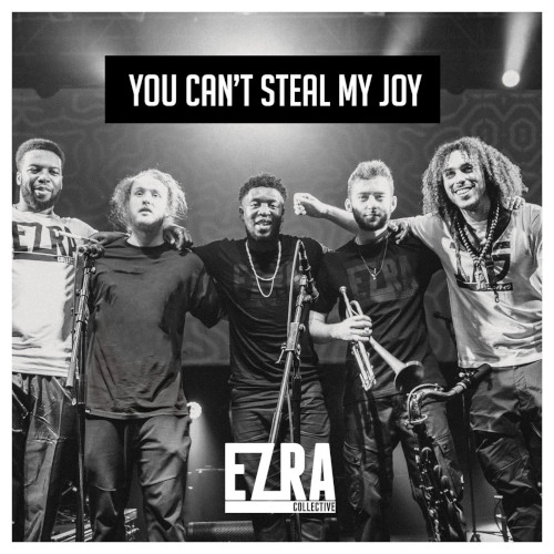 EZRA COLLECTIVE / エズラ・コレクティヴ / YOU CAN'T STEAL MY JOY(LP)