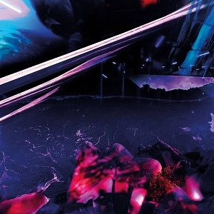 JULIA REIDY / BRACE, BRACE (LP)