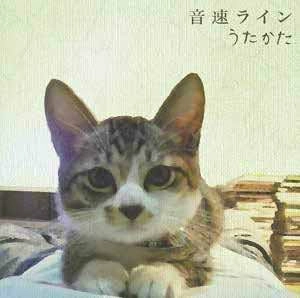 音速ライン / うたかた