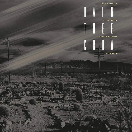 RAIN TREE CROW / レイン・トゥリー・クロウ / RAIN TREE CROW  (LP)