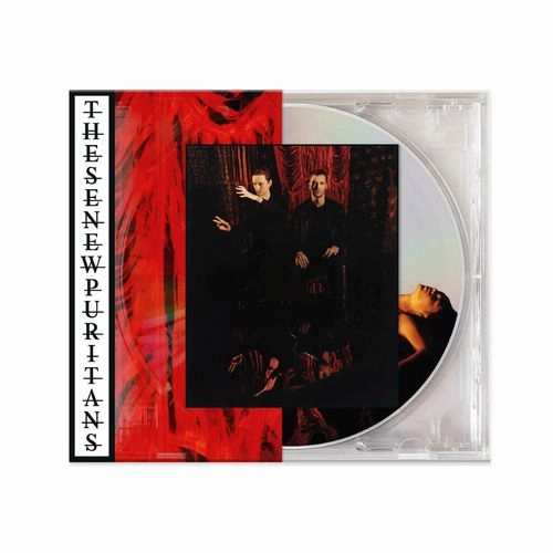 THESE NEW PURITANS / ジーズ・ニュー・ピューリタンズ / INSIDE THE ROSE