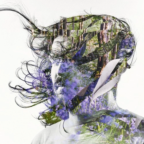 BIBIO / RIBBONS (2LP)