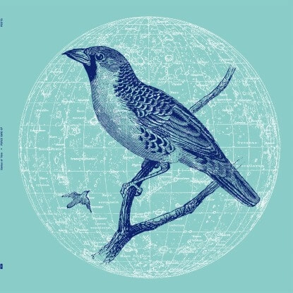 GENIUS OF TIME / PEACE BIRD EP