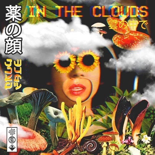 DRUGFACE / IN THE CLOUDS