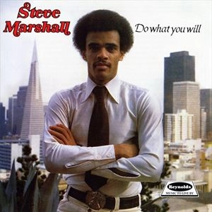 STEVE MARSHALL / スティーヴ・マーシャル / DO WHAT YOU WILL